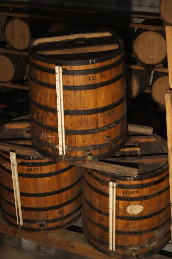 Hotel Chateau De Mons Armagnac Caussens