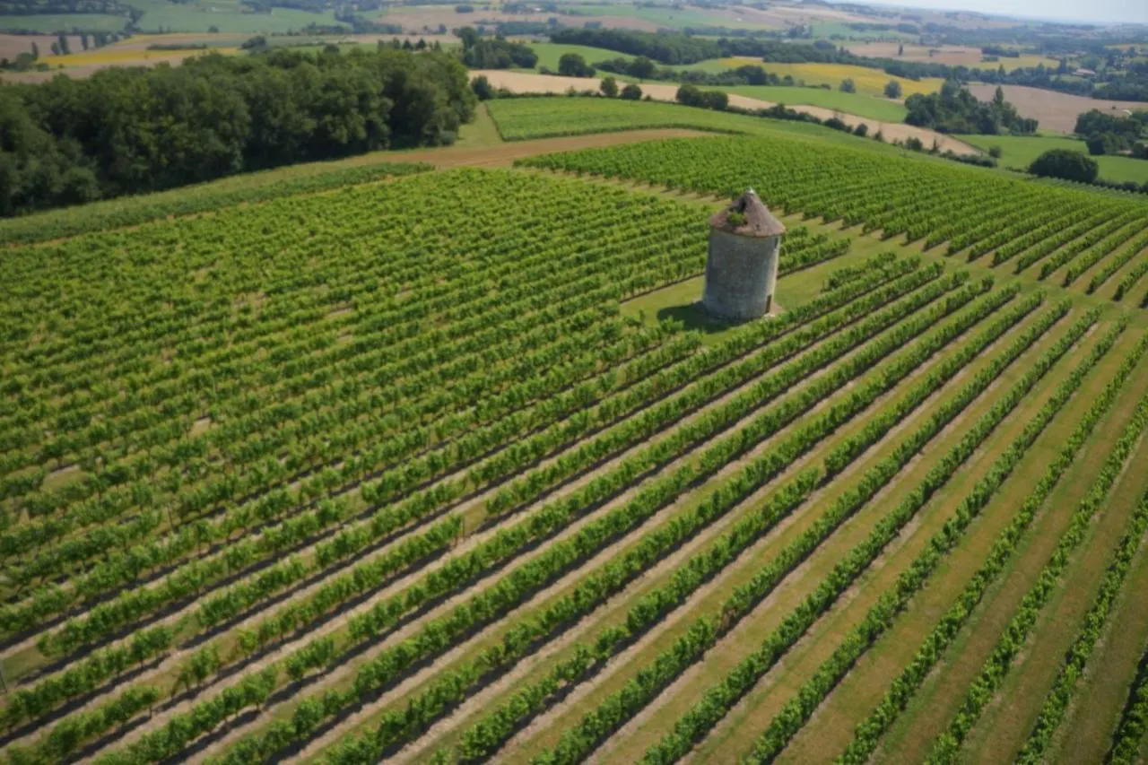 *** Hotel Chateau De Mons Armagnac Caussens France